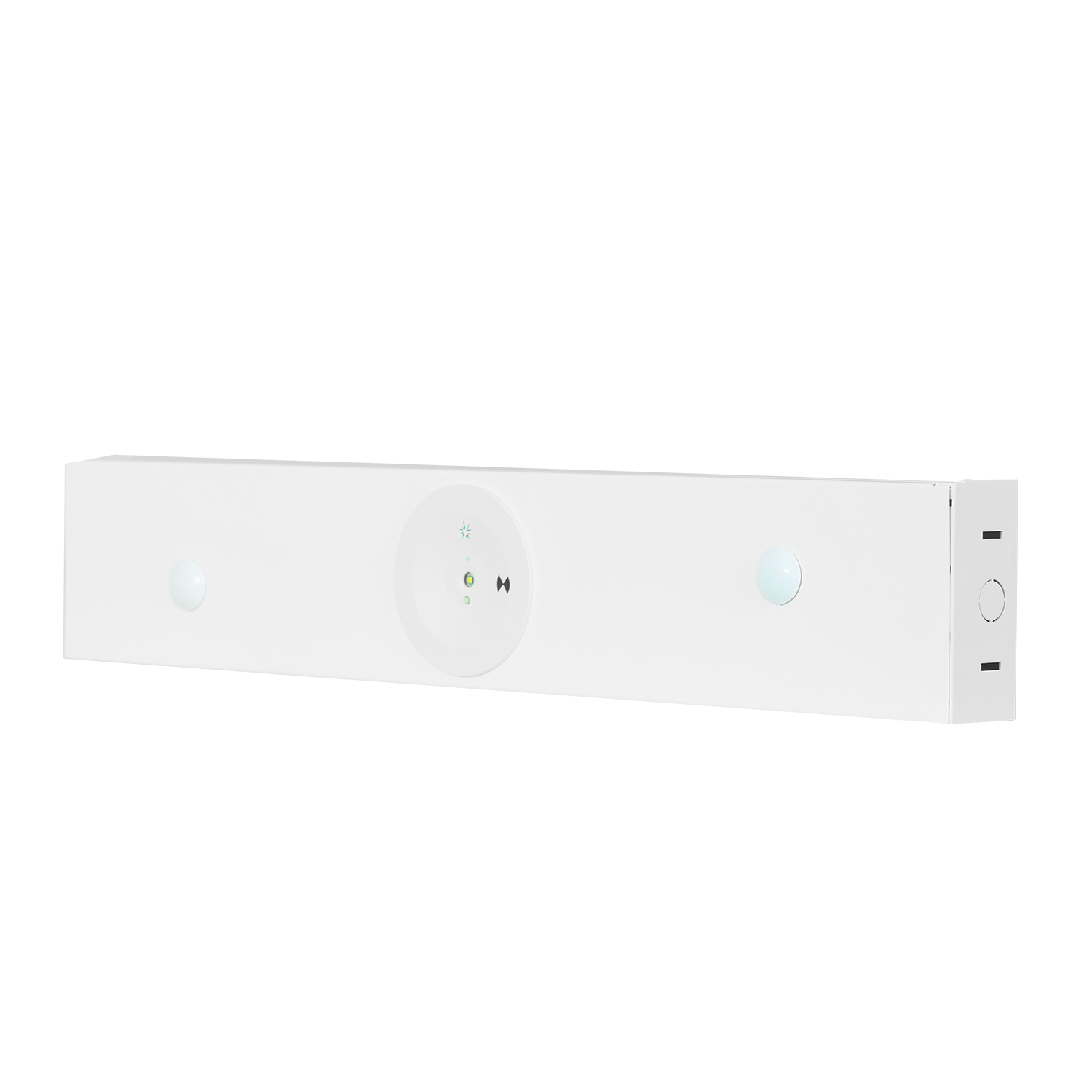 Bulklite Emergency Luminaire